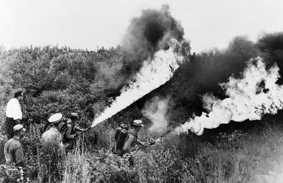 U.S. Marines sic flame-thowers on a cannabis field in Chicago (1958)